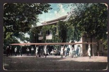 66023 Postcard Rowing Club