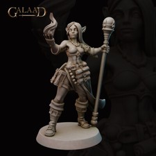 Elf Wizard / Sorcerer - Galaad