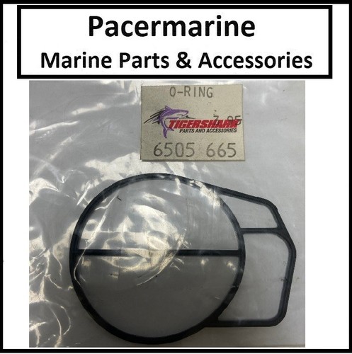 Tigershark jetski gasket - tigershark,