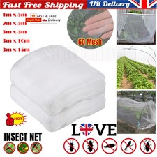 Fine woven mesh - mesh, insect