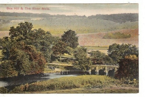 Dorking surrey box hill - dorking,,