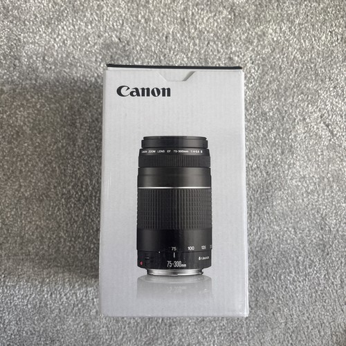 Canon 300mm 5 6 zoom - f/4-5.6,