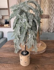 Beautiful detail weeping winter Christmas tree Frosted Pine