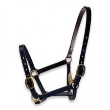 FOAL LEATHER HEADCOLLAR BRASS