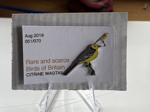 Rspb interest citrine wagtail - rspb,