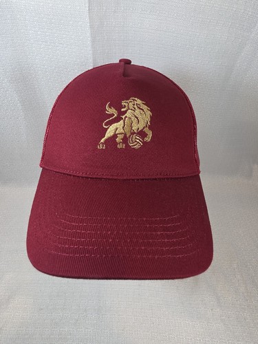 Aston villa soccer - aston, football