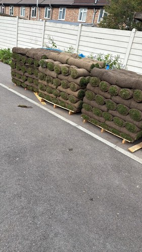 Real grass turf rolls - turf,