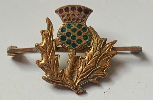 Vintage scottish thistle pin - vintage,