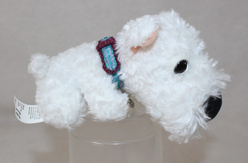West highland terrier - highland,