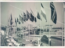 f348 - photographic draft