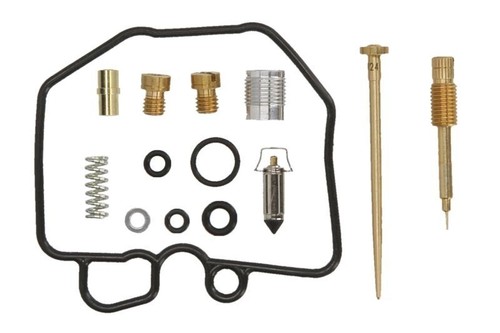 Carburetor repair kit - carburetor,