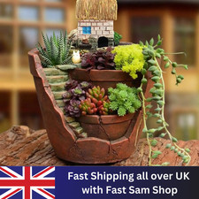 Succulent flower basket - succulent,