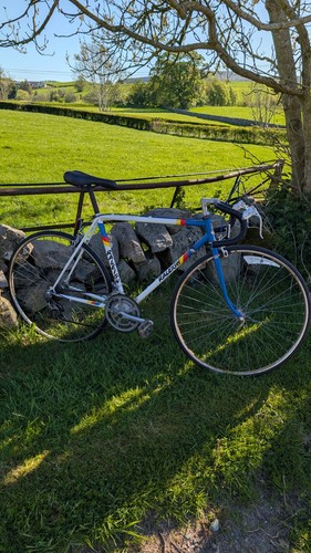 Vintage raleigh cadet bike - vintage,
