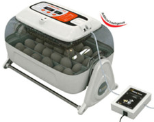 Rcom kingsuro mx20 egg - rcom,