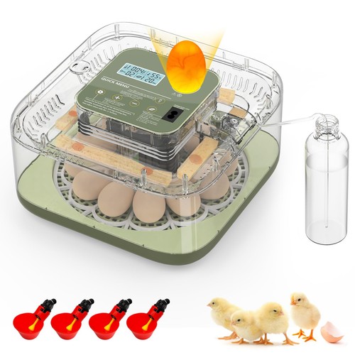 Mypin egg automatic - 12-egg,