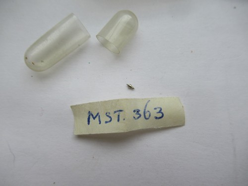 Mst 363 balance staff - mst, ref
