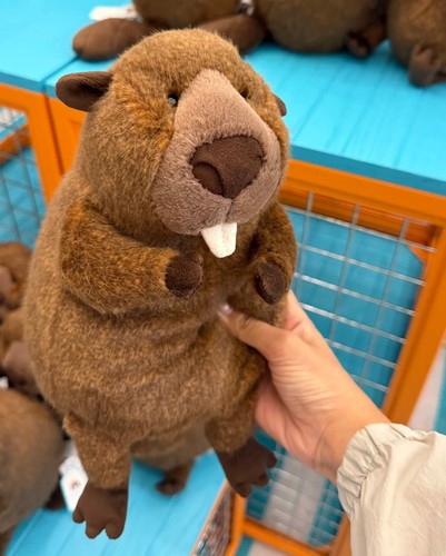 Jellycat briggs beaver plush - jellycat,