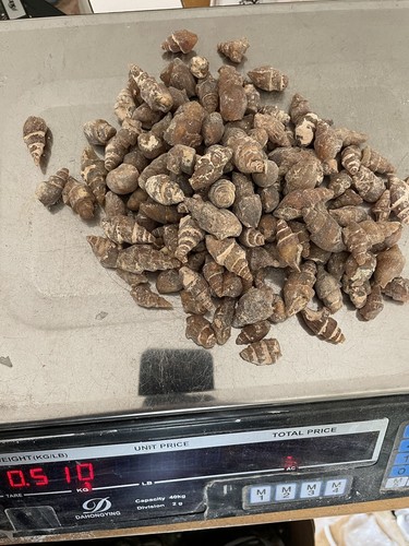 Job lot 500 grams - 500,