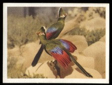 Tobacco Card, UTC, OUR SOUTH