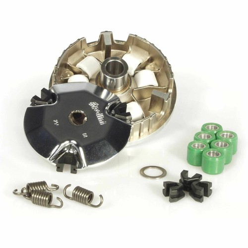 Polini variator rieju 2 - rieju, rs