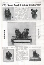BRUSSELS GRIFFON 1927 "VULCAN" OUR DOGS DOG BREED KENNEL ADVERT PRINT PAGE b214