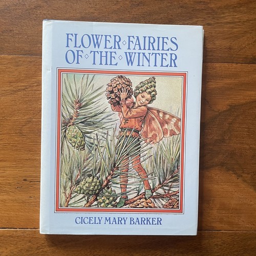 Flower fairies the winter - of,