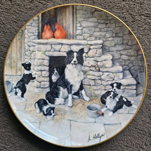 Border fine arts - border,