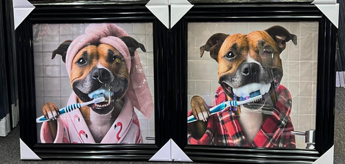 Black step framed staffy - framed,