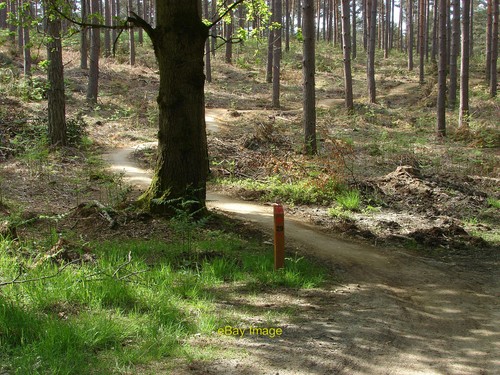 Photo 12x8 mountain - 12x8, trail