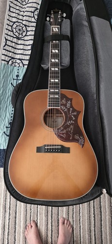 Sigma sig sg5 - sigma, acoustic