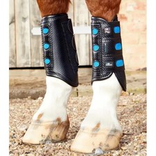 Premier Equine Air Cooled