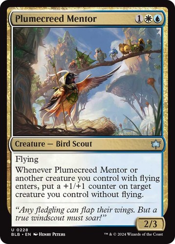 Plumecreed mentor 228 nm - mentor,