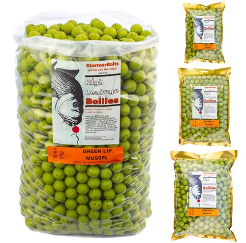 18mm green lip mussel shelf - 18mm,