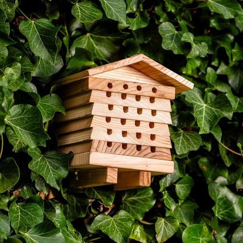 Garden gear wooden bee hive - garden,
