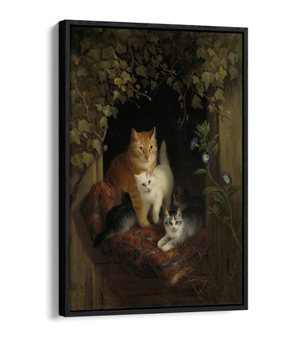 Henriette ronner knip cat - knip,,