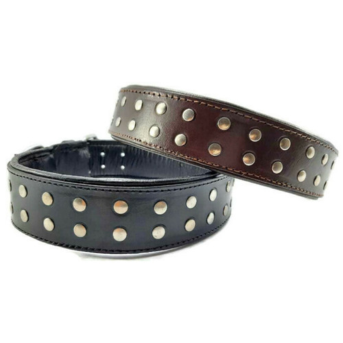 Leather studded dog collar - 2",