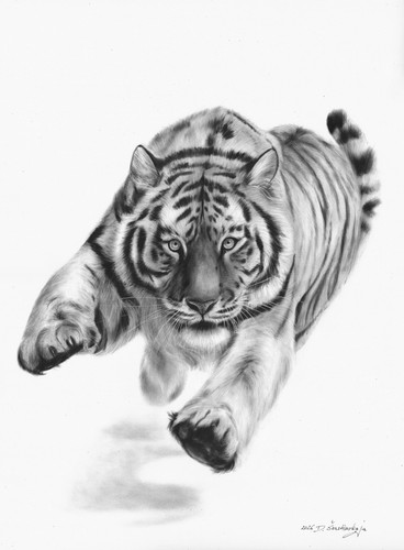 Original running tiger oil - running,