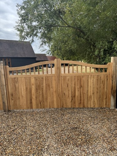 European oak swan neck - european,