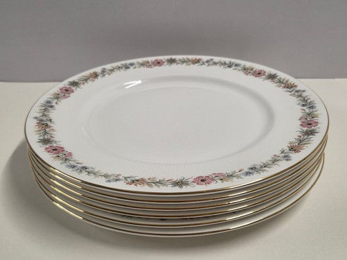 Paragon belinda dinner plates - paragon,