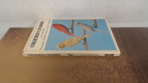 Coloured canaries walker - coloured, canaries,
