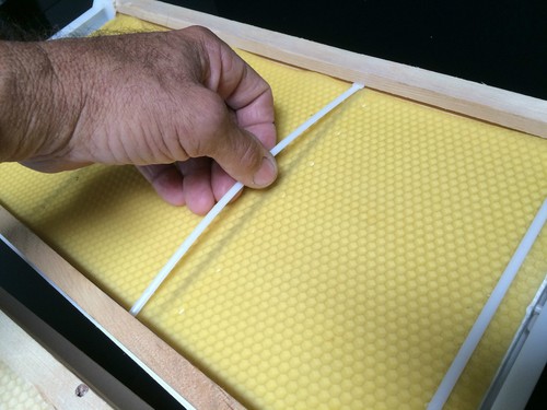 Wax foundation anchors for bee - foundation,