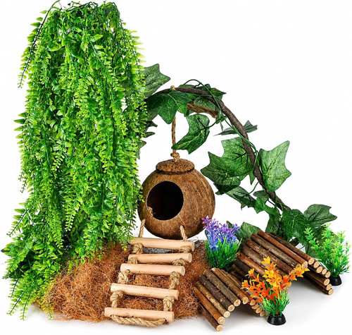 Crested gecko tank - crested,