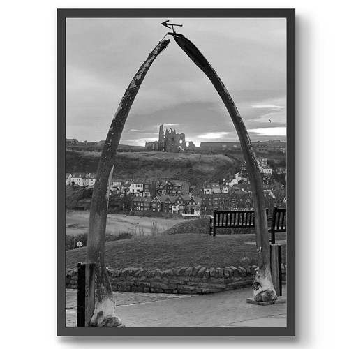 Whitby whale bone black - whale,
