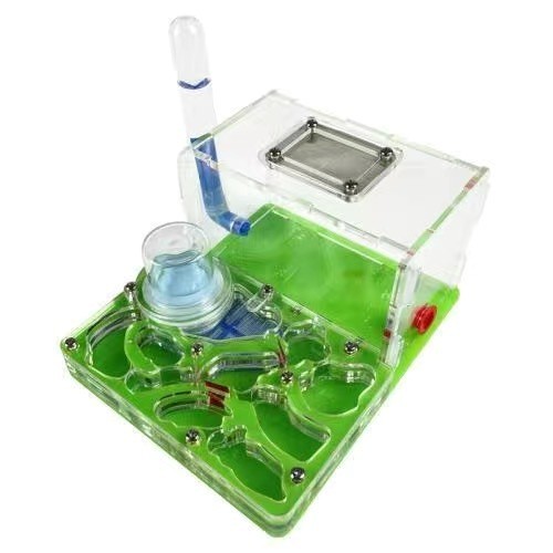 Mini ant farm - nest, with