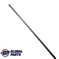 Door Moulding Strip BMW X5 E70