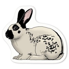 'English Spot Rabbit' Decal