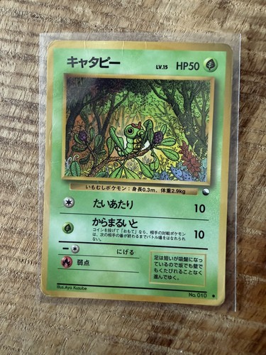 Japanese caterpie 010 - japanese,