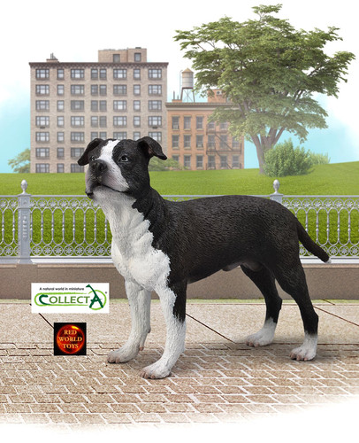 American staffordshire terrier - american,