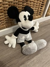 Mickey Mouse Disney Park