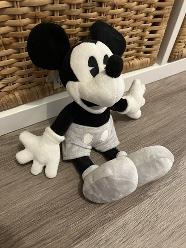 Mickey mouse disney park - mouse,